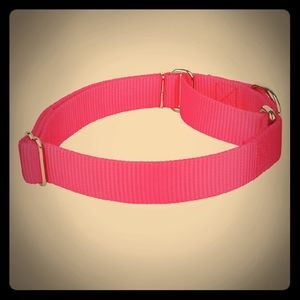 💰💸 Guardian Gear Martingale Dog Collar - Size: Medium